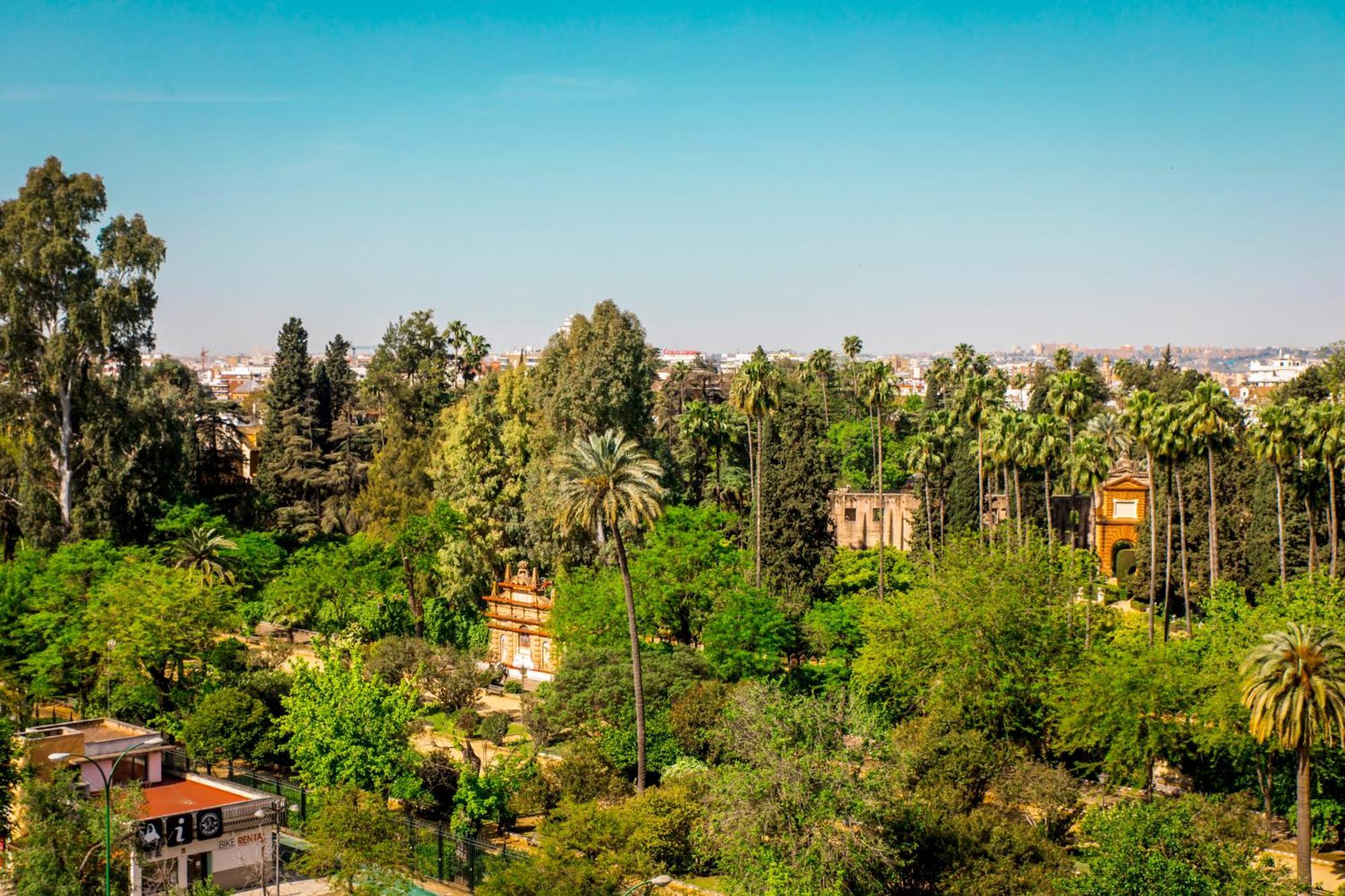 Hotel Alcazar Севілья Екстер'єр фото